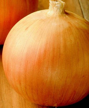 Yellow Sweet Spanish Onion